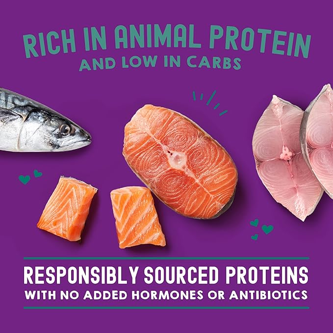 Stella & Chewy's Carnivore Cravings Wet Cat Food Pouches - Premium Salmon & Mackerel Recipe - Grain-Free Morsels & Gravy - Perfect for Picky Eaters - Complete Meal or Topper - 2.8oz, 24-Pack