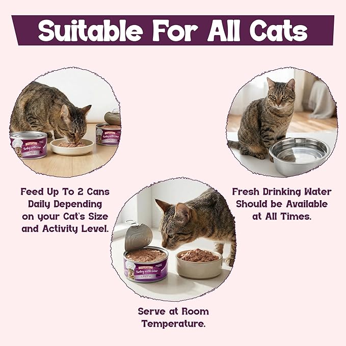 Beefeaters Turkey Liver Pate Wet Cat Food 5.5oz (24-Pack) | Adult Wet Food with Taurine, Premium Catfood Wet Food, No Artificial Additives, Balanced Nutrition | Supports Immune System & Vision