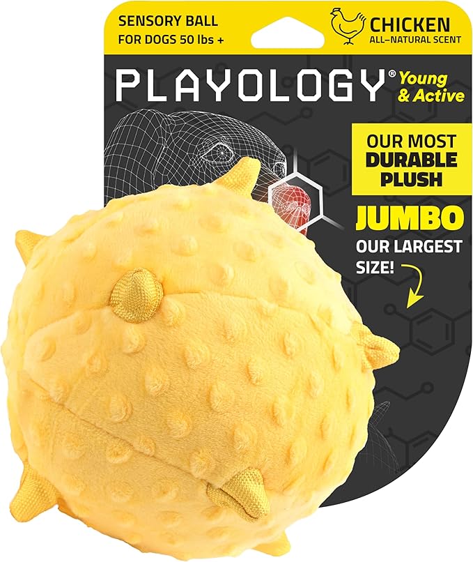 Playology Dog Toys | Puppy Toy Plush Sensory Ball for Dogs and Puppies | Jumbo Chicken Scented Toy - Easy to Clean and Made from Non Toxic Materials