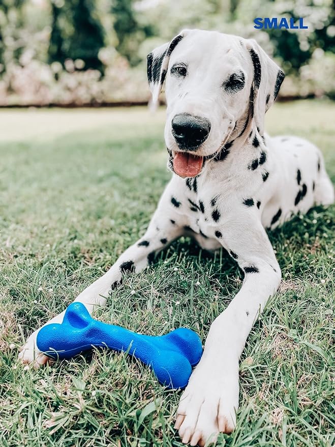 SuperChewer Tough Dog Bone Toy | Lifetime Replacement | Strong Natural Rubber | Great Dog Fetch Toy | Chew Toys for Dogs | Ultra Durable Chew Toys for Moderate Chewers | Large Breed Tested