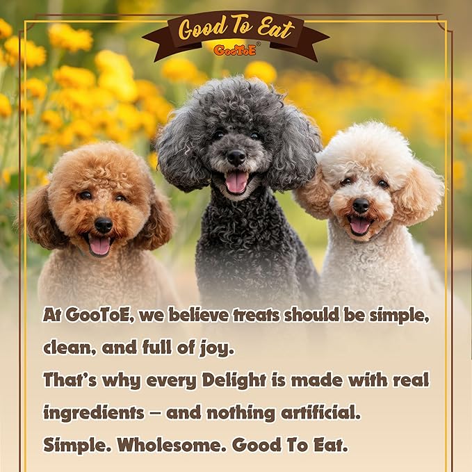 Gootoe Turkey Tendons for Dogs –All-Natural, Hypoallergenic Dog Treats, Rawhide Alternative, Long Lasting Puppy Chews, Healthy Dog Treats for Small Breeds, Lollipop (S), 5 Count Pack