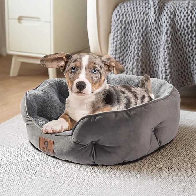 Asvin Small Dog Bed for Small Dogs, Cat Beds for Indoor Cats, Pet Bed for Puppy and Kitty, Extra Soft & Machine Washable with Anti-Slip & Water-Resistant Oxford Bottom, Grey