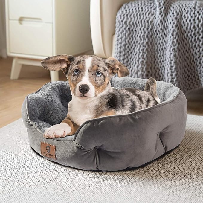 Asvin Medium Dog Bed for Medium Dogs, Large Cat Beds for Indoor Cats, Pet Bed for Puppy and Kitty, Extra Soft & Machine Washable with Anti-Slip & Water-Resistant Oxford Bottom, Grey, 25 inches