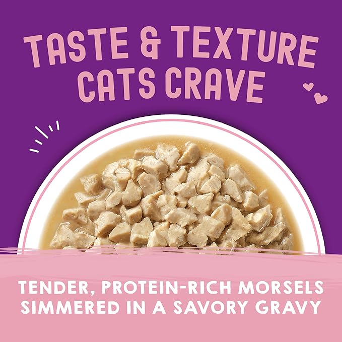 Stella & Chewy's Carnivore Cravings Wet Cat Food Pouches - Premium Chicken & Salmon Recipe - Grain-Free Morsels & Gravy - Perfect for Picky Eaters - Complete Meal or Topper - 2.8oz, 24-Pack