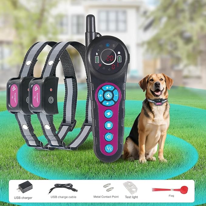 DOTSTAR Wireless Dog Fence Training Collar 2-in-1 Pet System, 5000ft Adjustable Control Range, Waterproof Rechargeable Training Collar, Pet Electric Containment System for Large Medium Dogs