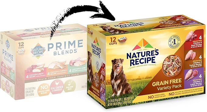 Nature's Recipe Grain Free Wet Dog Food Variety Pack, Chicken Recipes with Beef, Turkey & Lamb in Savory Broth, 2.75 oz. Cups (Pack of 24), 2 Count