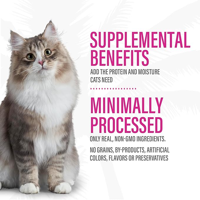 Tiki Cat Born Carnivore Complements Wet Cat Food Topper, Chicken, 2.1 oz. Pouch (12 Count)