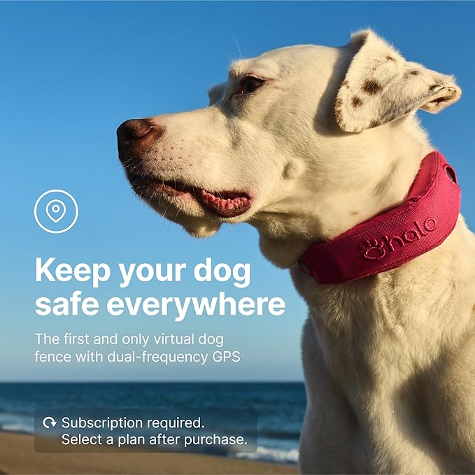 Halo Collar 4, GPS Wireless Dog Fence & Dog Training Collar with GPS Tracker, Subscription Required, Waterproof, Sunburst, One Size