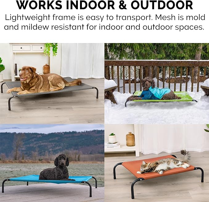 FurHaven Elevated Pet Cots - Cooling & Breathable Nylon Mesh Hammock for Dogs/Easy-to-Assemble / / Durable and Reinforced/Perfect for Rest & Relaxation Outdoors - Capri Blue, Medium
