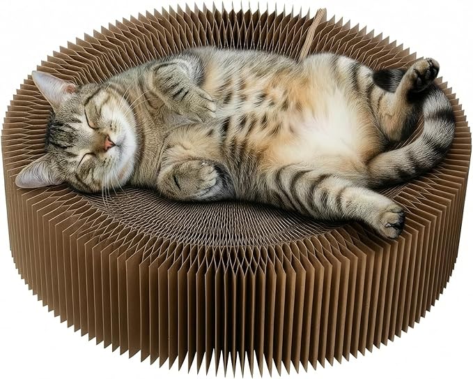 Cat Scratcher Lounge Bed - Collapsible Magic Organ Round Shape Cat Bed 20.5 inches, Scratching Pet Bed Hold Weight up to 25lb for Indoor Small Big Cats