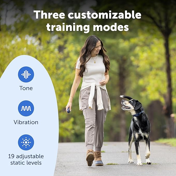 PetSafe Pro Dog Trainer with Remote - Effective Dog Training - 15 Levels of Static Correction - Waterproof Collar - Rechargeable Training Collar - Compact Remote Transmitter