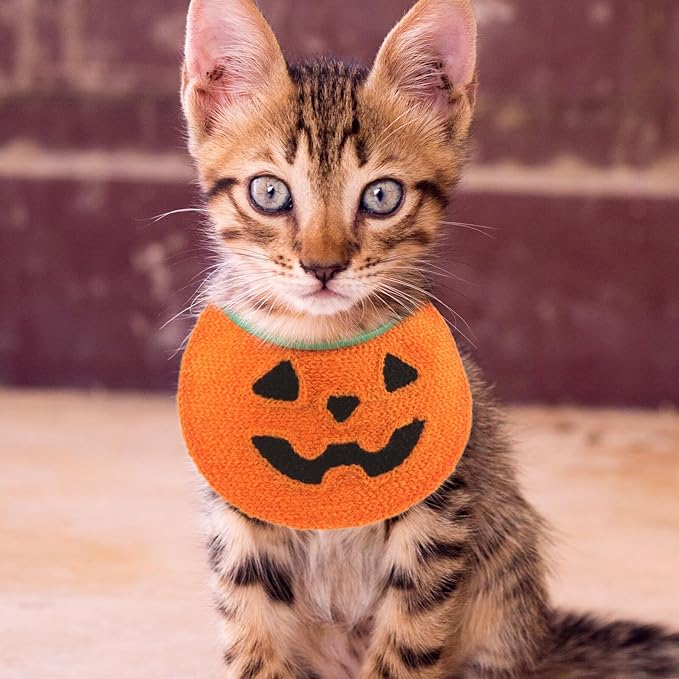 DOITOOL Halloween Pumpkin Dog Bandana Tie-on Pet Bandana Bib for Dogs Under 15 Lbs Comfortable Cotton Material for Halloween Party and Holiday Pet Supplies