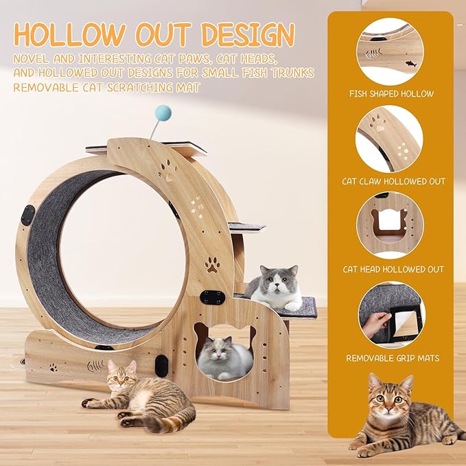 Cat Wheel 6-in-1 Upgraded Exercise Wheel for Indoor Cats: Large Treadmill with Silent Running Wheel, Perfect Cat Furniture & Toy for Endless Fun & Fitness