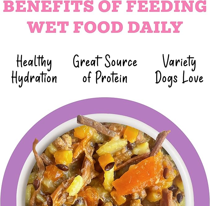 Weruva Awesome Belly Wet Dog Food, Beef & White Rice, 14oz Can (Pack of 10)