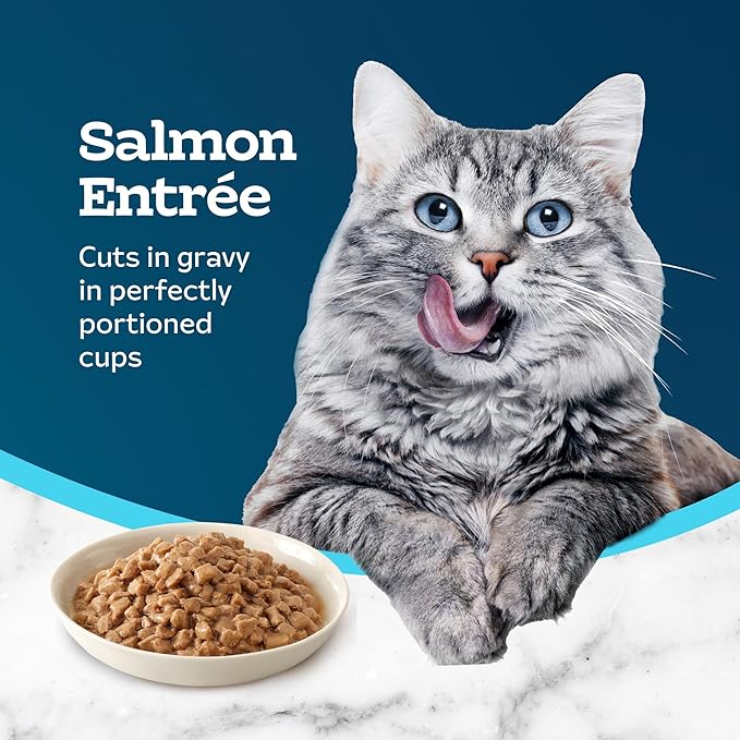 Blue Buffalo Tastefuls Savory Singles Natural Wet Cat Food in Gravy, 2.6-oz. Twin-Pack Tray, Salmon Entreé (24 Count)