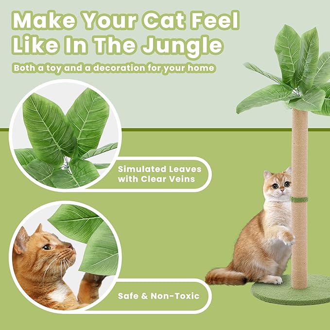 33" Tall Cat Scratching Posts for Indoor Cats, Cat Scratching Post Premium Basics Kitten Scratcher Sisal Scratch Posts with Hanging Ball, All Ages with Reinforced Stable Base, Green