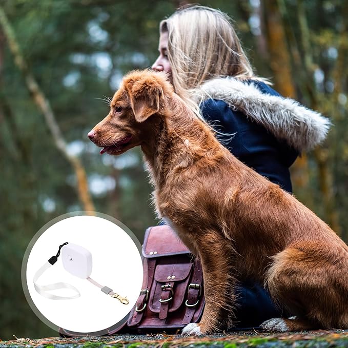 Retractable Dog Leash Nylon Pet Supply Automatic Telescopic Mini Leash for Small Dogs Walking Training Random Color