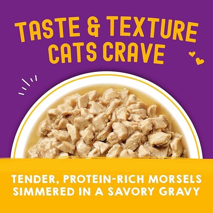 Stella & Chewy's Carnivore Cravings Wet Cat Food Pouches - Premium Chicken & Chicken Liver Recipe - Grain-Free Morsels & Gravy - Perfect for Picky Eaters - Complete Meal or Topper - 2.8oz, 24-Pack