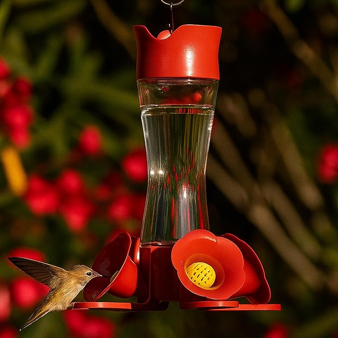Perky-Pet 203CPBN-2 Glass Hummingbird Feeders for Outdoors with Perches,Ant Moat,Bee Guards -,2 Count (Pack of 2)