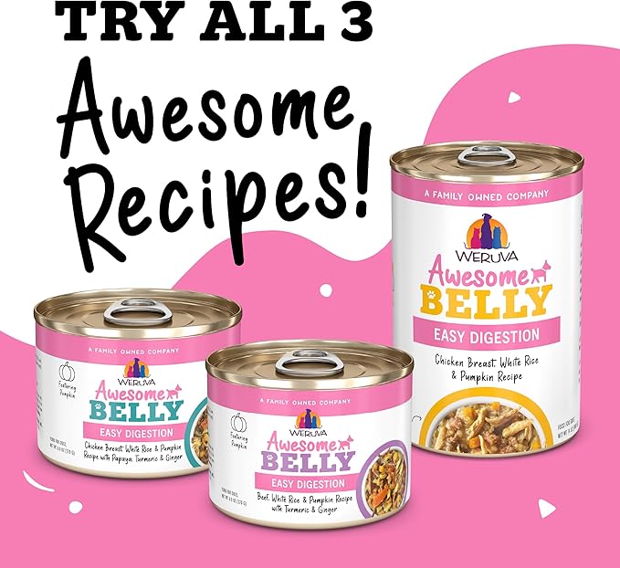 Weruva Awesome Belly Wet Dog Food, Chicken, White Rice & Pumpkin with Papaya, 6oz Can (Pack of 8)