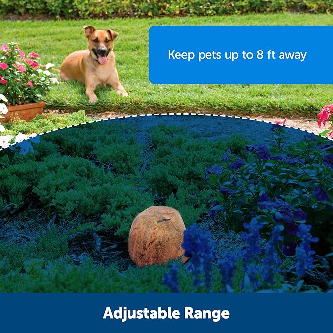 PetSafe Pawz Away Outdoor Wireless Pet Barrier, Electric Training System for Cats and Dogs with Receiver Collar
