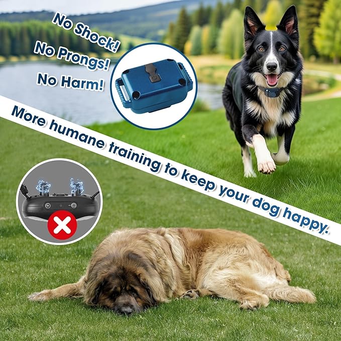 Small No Shock Dog Training Collar for Small Dogs 5-15lbs, Strong Vibrating Dog Collar Beep and Vibrate Only, Safe Lock Waterproof Rechargeable Vibration Collars for Dogs-No Prongs,Blue and Grey