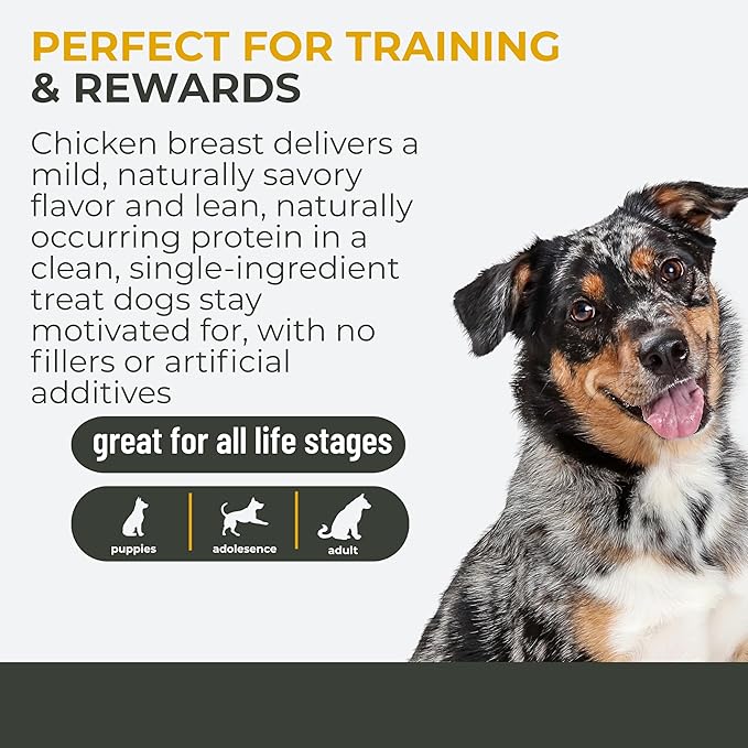 Momentum Carnivore Nutrition Freeze-Dried Chicken Breast Dog Treats & Cat Treats – Single-Ingredient, High-Protein, Grain-Free, Lean & Easily Digestible – Made in USA – 3 oz Bag
