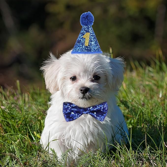 Toyvian Small Pet Party Hat with Blue Trim and Number + Royal Blue Bow Tie Set for Puppy Birthday Celebration, Dog Bowknot Accessory for Pet Party Supplies