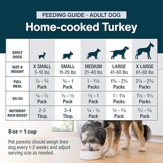JustFoodForDogs JustFresh Wet Dog Food, Fresh Pet Meals and Toppers with No Preservatives, Resealable Package, Human Grade, Home-Cooked Turkey, 12 oz - 7 Pack