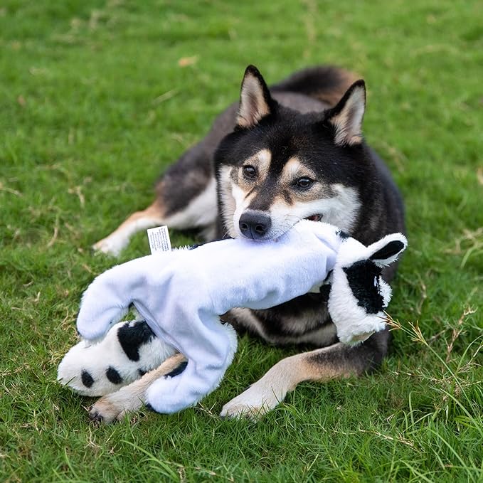 Best Pet Supplies Squeaky Dog Toys with Soft Durable Fabric for Small, Medium and Large Pets Interactive Toy for Indoor Play, Supports Active Biting and Play - Cow, Monkey, Large