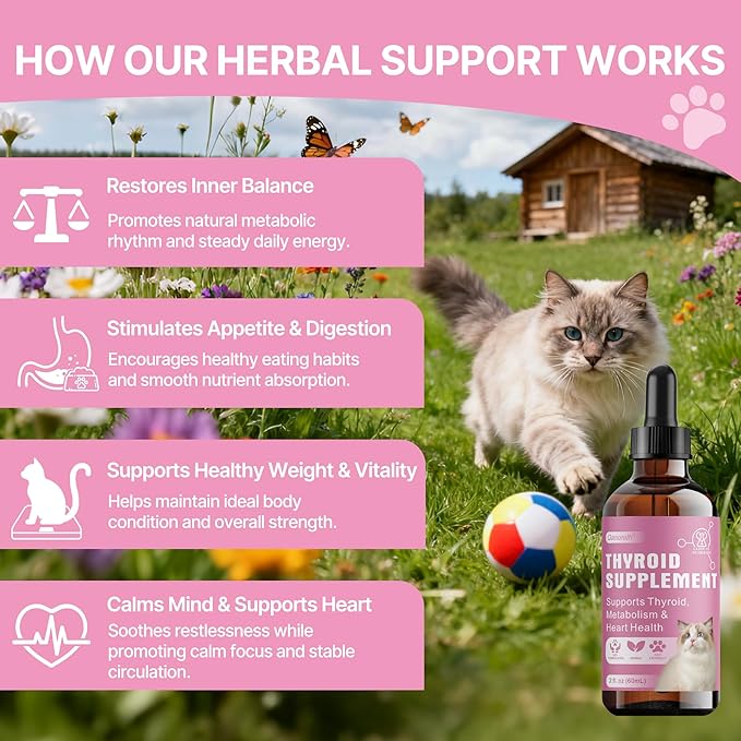 Thyroid Support for Cats, Natural Cat Appetite Stimulant & Cat Weight Gainer Drops – Helps Support Metabolism, Energy & Weight Gain for Cats – Vet-Formulated Herbal Liquid Supplement, 2 fl oz