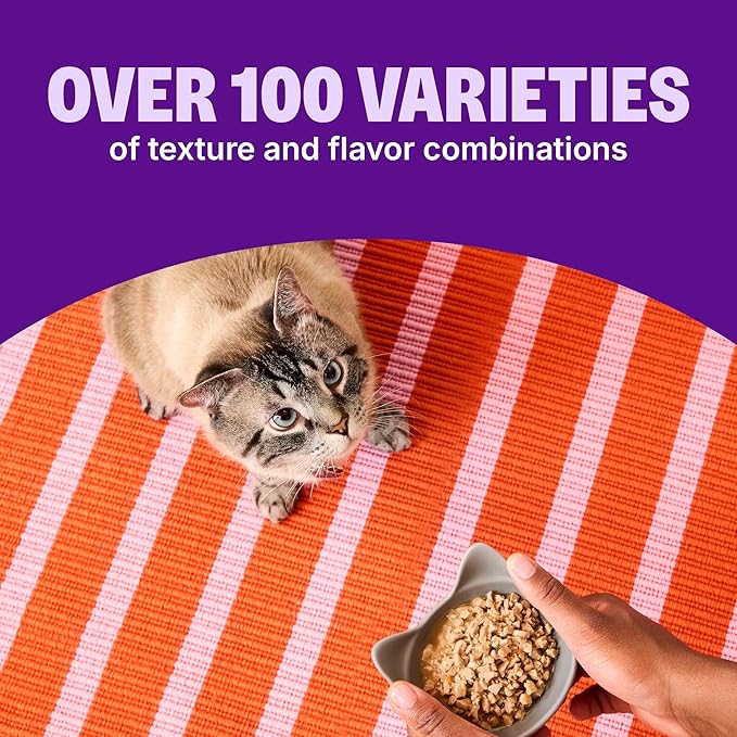 Wellness Wet Cat CORE Signature Selects Kitten Wet Cat Food, Protein-Rich, Grain Free, 2.8 Ounce, 8 Pack (Kitten Variety Pack)