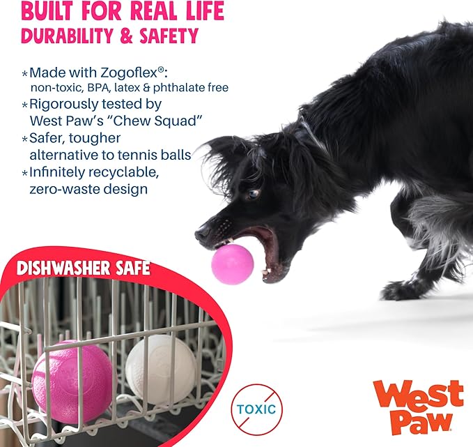 WEST PAW Boundr Ball Dog Fetch Toy – Bouncing Toys for Dogs, Fetch, Catch, Chewing, Play – Floatable, Recyclable Balls – Small Hotpink/Glow 2-Pack