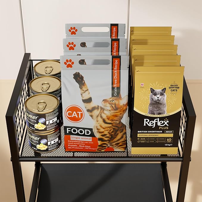 4in1 Cat Furniture Stand with Cat Scratching Post, Cat Food Bowls, Cats Bed Platform, Cats Food Storage Organizer, All in One Pet Furniture for Small Space (Black)