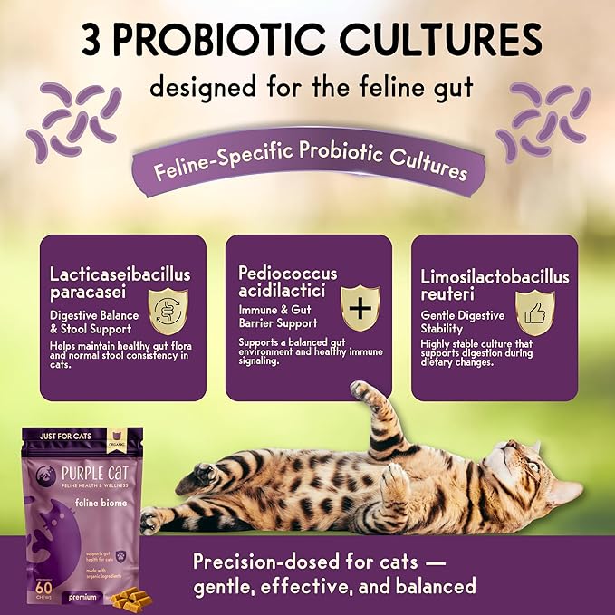 Feline Biome: Premium Cat Probiotic – Gut Health, Diarrhea Relief & Immune Support – Natural & Organic Ingredients – 60 Soft Chews with Real Chicken and Chicken Liver