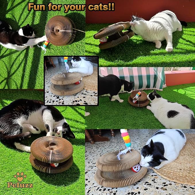 Kitty Curls Cat Scratcher, Magnetic Shape-Shifting Reversible Eco-Friendly Cardboard Ring, Collapsible Ball Track + Bell Ball, Catnip Included & Bonus Toy – Helps Protect Furniture for Cats & Kittens