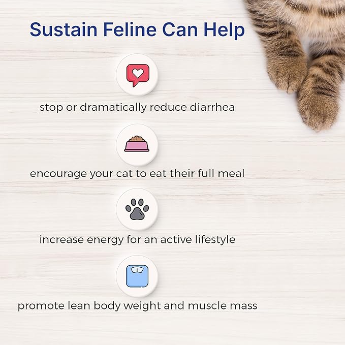 Sustain Feline Recovery Food for Cats 100 g
