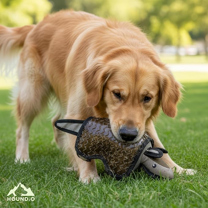 Plush Dog Toys | Armadillo Stuffed Animal Squeaky Toy for Dogs | Outdoor Pet Toy Built for Adventure