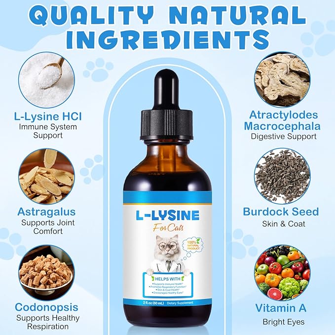 L-Lysine Liquid Drops for Cats - Chicken Flavor Immune Support & Respiratory Health Supplement with Echinacea & Vitamins - Helps Reduce Sneezing, Watery Eyes & Tear Stains, 60ml
