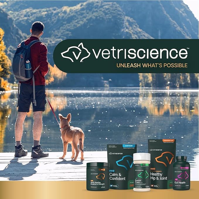 VetriScience Dental Care Powder, Perio Support Clinically Tested Dental Supplement for Small, Medium and Large Breed Dogs, Freshen Breath, Control Plaque and Tartar, Oral Health, 4.2 oz
