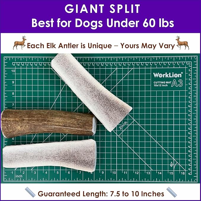 3‑Pack Giant Split Elk Antler Dog Chews for Medium & Large Dogs Under 60 lbs – 7.5‑10 Inch Center‑Split, Premium Grade‑A, Naturally Shed, USA‑Sourced