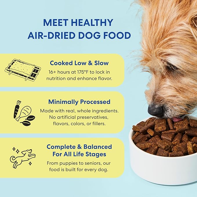 The Pets Table Beef & Berries Grain-Free Air Dried Dog Food, 3lbs / 48 oz Bag