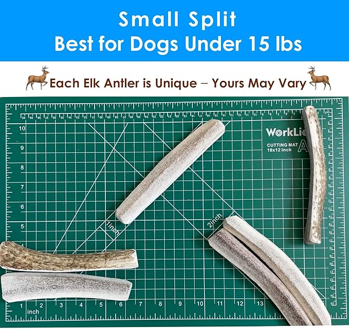 6-Pack Small Split Elk Antler Dog Chews (5 to 6.5+ in) – All Natural, Premium Grade A, Odor-Free, USA-Sourced – Long-Lasting Dental Treats for Toy and Small Dogs Under 15 lbs