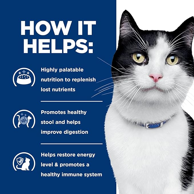 Hill's Prescription Diet i/d Digestive Care with Chicken Wet Cat Food, Veterinary Diet, 5.5 oz. Cans, 24-Pack