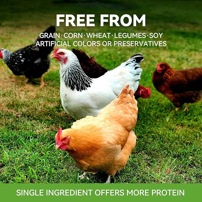 OPET Freeze Dried Chicken Breast Cat Treats for Cats & Dogs，Single Ingredient Grain Free High Protein Pet Food，Healthy Training Snacks (Chicken Breast, 1.48 Ounce)
