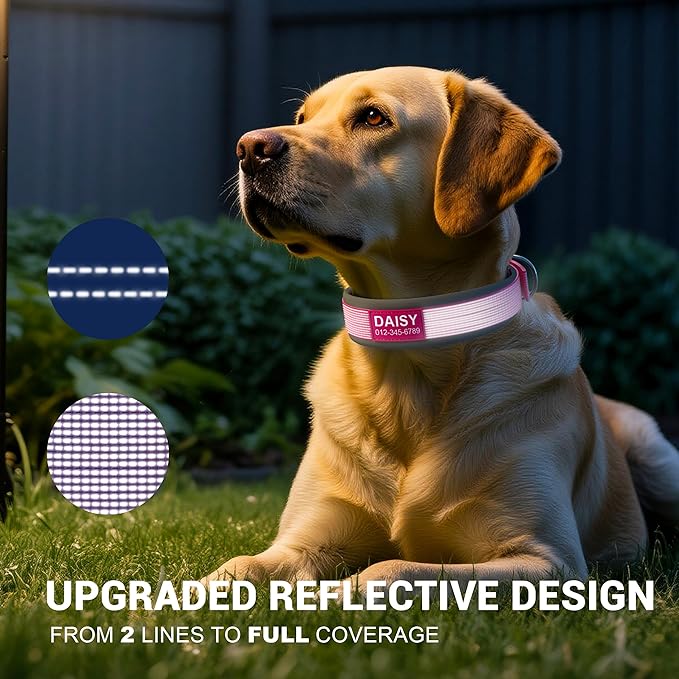 Personalized Dog Collar with Name & Phone Number - Durable Metal Buckle, Ultra-Visible Fully Reflective, and Wide Comfort-Fit Padded Neoprene for Small, Medium, Large Dogs and Cats