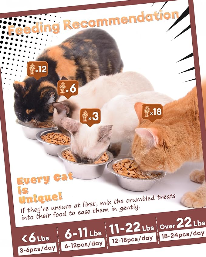 17.63oz Cat Grass Treats for Hairball Control – Natural Salmon & Cat Grass & Catnip Biscuits, Low-Calorie Healthy Snacks for Indoor Cats, Digestive & Dental Care