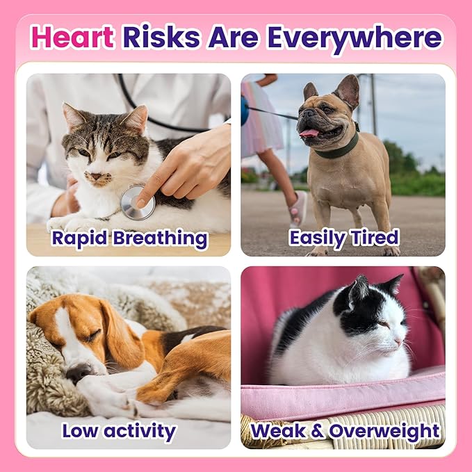 Taurine for Cats & Dogs with CoQ10 - Heart Supplement Powder Support Heart, Vision and Immune System Health - 120 Capsules