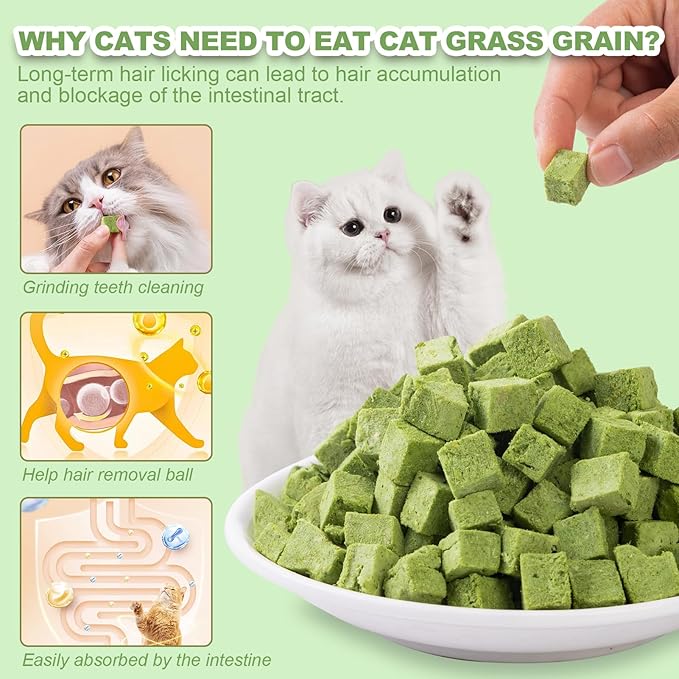 Dylan's cabin Cat Grass Teething Cube Treats - Natural Freeze Dried Edible Cat Chew Toy for Teeth Cleaning and Hairball Removal(80g)