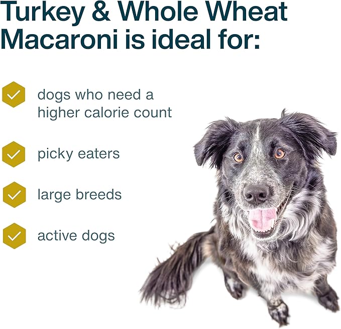 JustFoodForDogs Frozen Fresh Dog Food, Complete Meal or Dog Food Topper, Turkey & Whole Wheat Macaroni Human Grade Dog Food Recipe, 72 oz (Pack of 7)